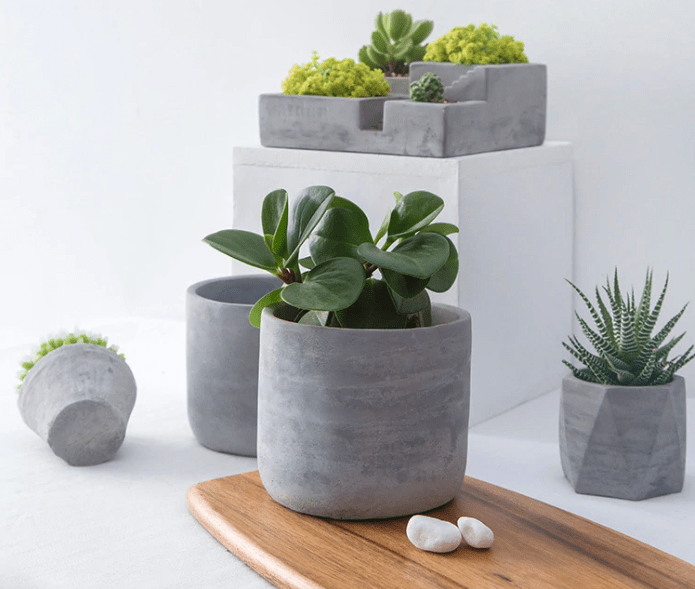 Bốc Xếp Miền Nam